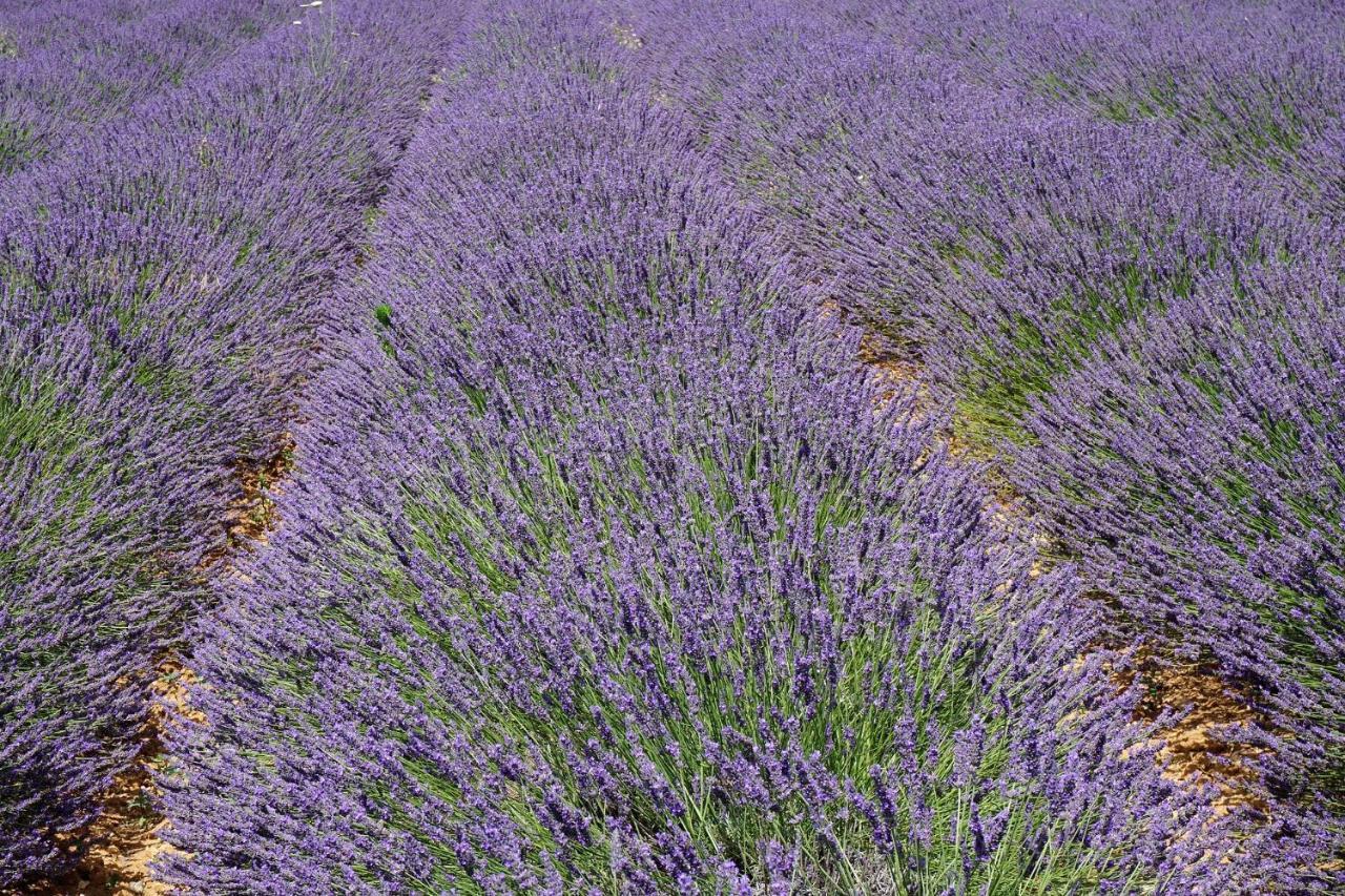 Appartement T2 Cosy Sur Aix Aix-en-Provence Bagian luar foto